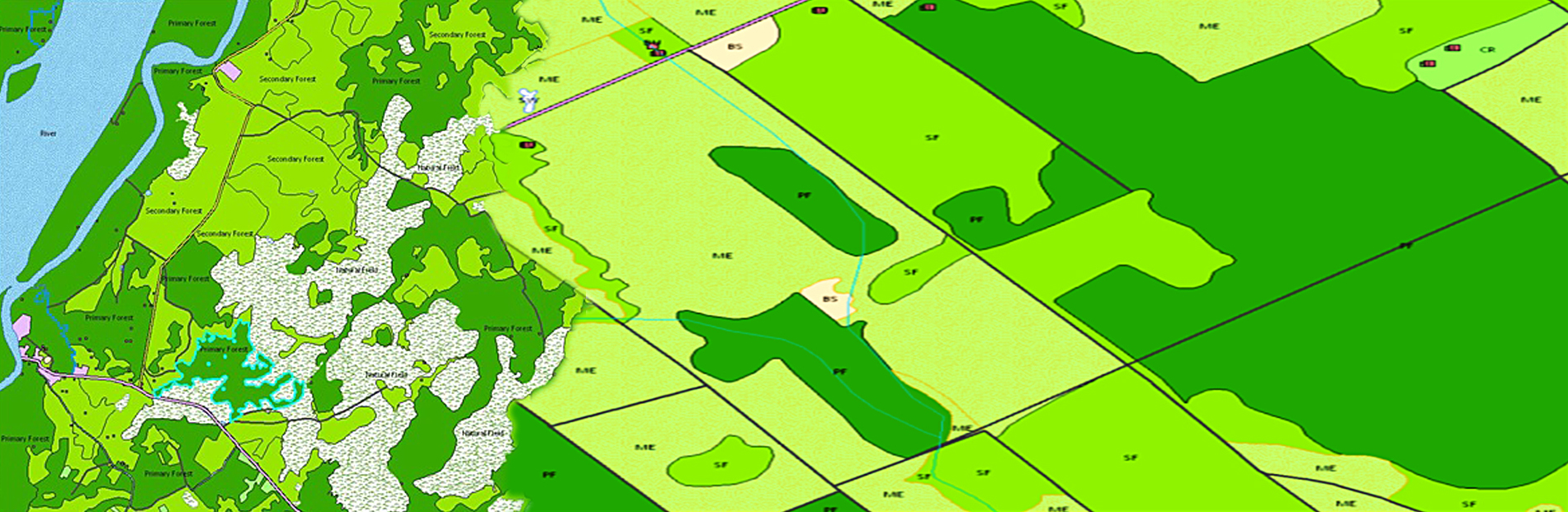 GIS Services/Remote Sensing image 3