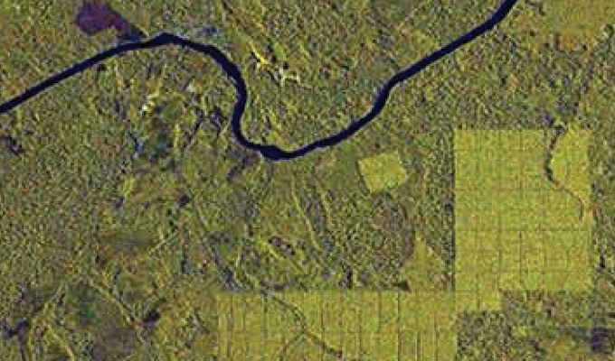 Orthophoto and Mosaicing image 4